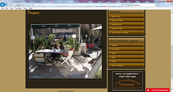 web-site-za-sladkarnica-4